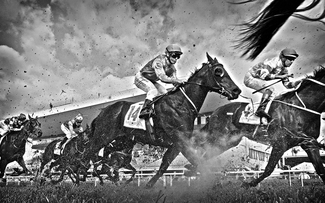 horse race