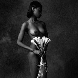 Calla Lily