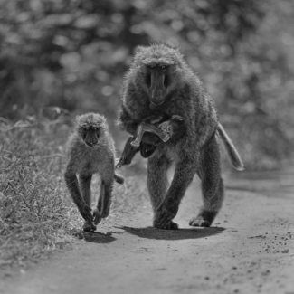 A Mother's Grief