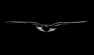 Seagull