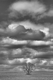 Solitary