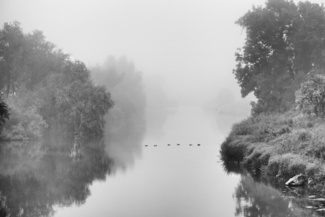 Ducks in a Row