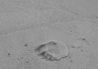 Tracks & Traces