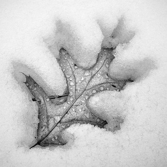 Winter's Grip