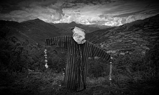 Scarecrow