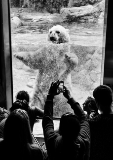 Let Me Out