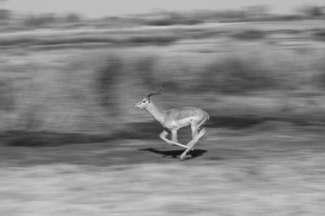 On the Move
