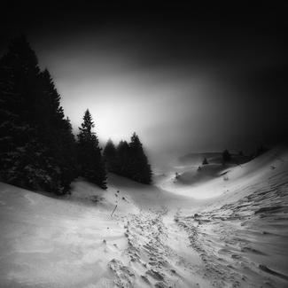 The First Sun