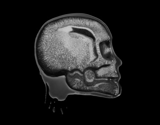 ICE_SKULL