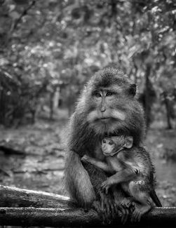 Mothers love