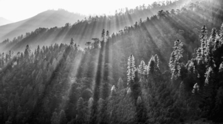 Bathed in light
