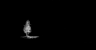 Like a candle