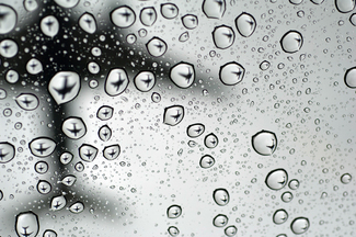 Pearson-Robert_LAX Rain 2.