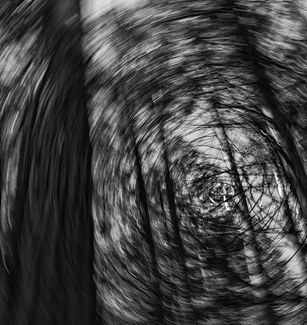 Moving Tree