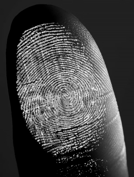 Fingerprint
