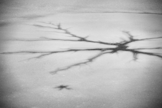 Ice (2)