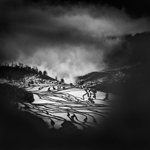 Rice Terraces 