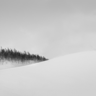 Norwegian Winter