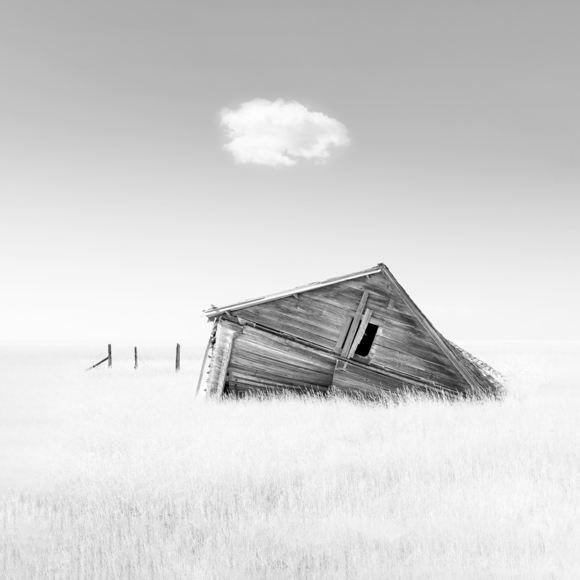 Leaning Shed Single Cloud