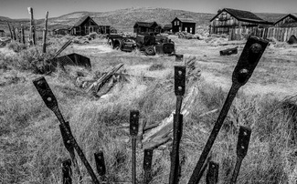 Bodie