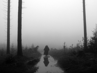 untitled (1)