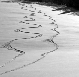 Wiggly Lines