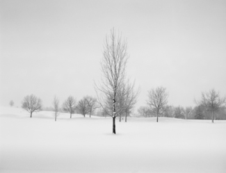 Winter Study