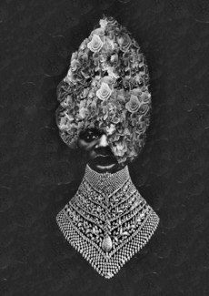 Silver Lady (1)