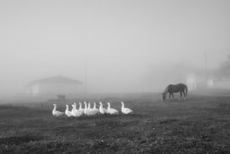 Autumn morning