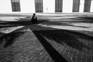 Lost in the Shadows