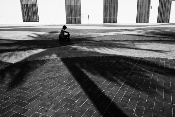 Lost in the Shadows