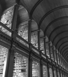 The library