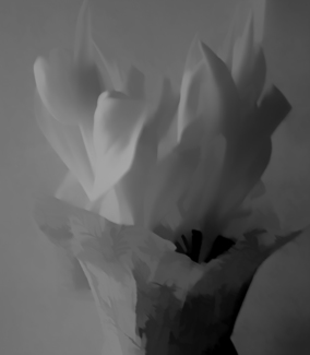Tulips #2
