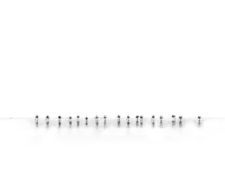 The Lineup
