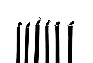 The Sextuplets