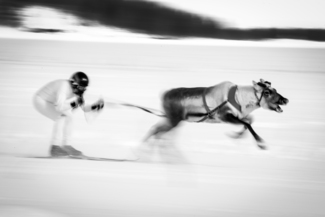 The Kings Race