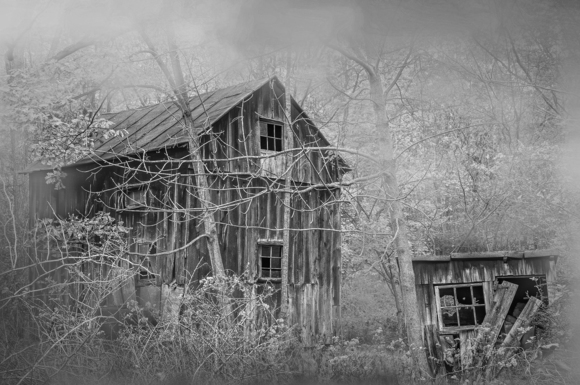 Barn in the Mist