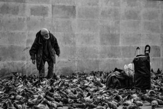 Lord of the pigeons