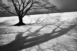 Winter Shadow