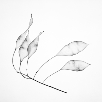 no.2
