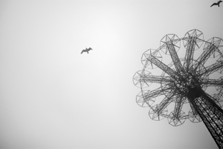 winter fog