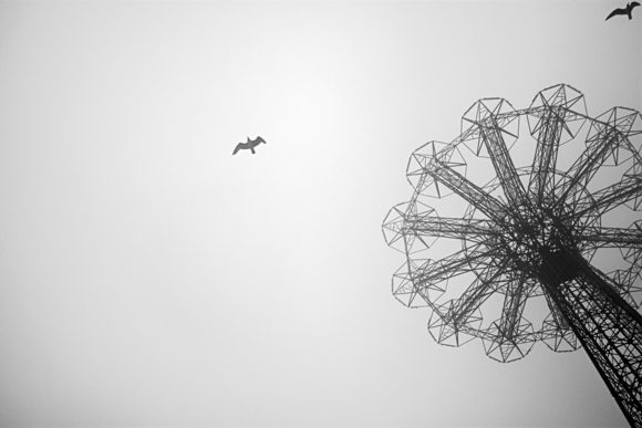 winter fog