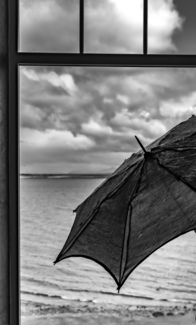 Umbrella