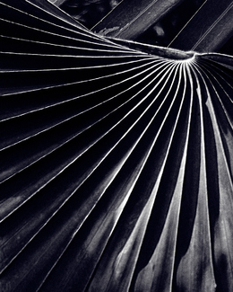 Convergence