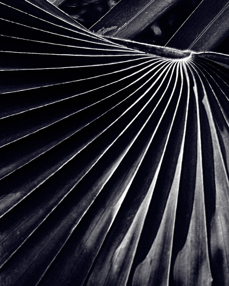 Convergence
