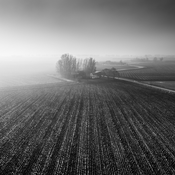 Groede in the Mist