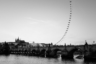 Under the bridge