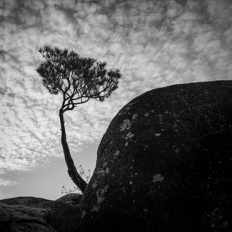 standing alone