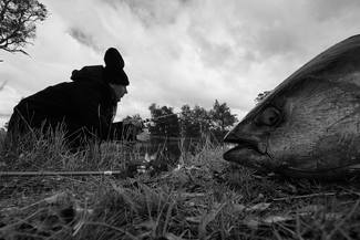 Fishy Tales