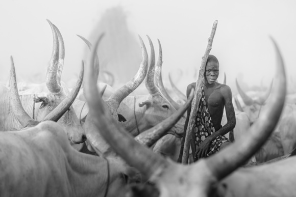 Mundari cattle herder